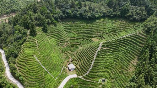 Mɽв퍡Ϲ̴WhM@^{(dio)