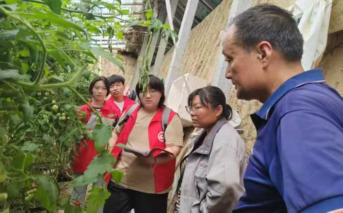 ǻӳ HI(y)WԺWӌ`gܴa