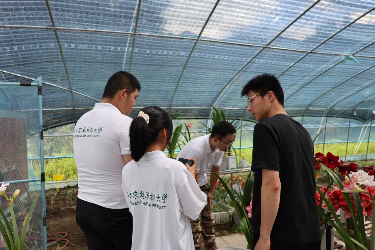 I(lng)µl(xing)d`r(nng)ֿƼWYԴh(hun)WԺی{(dio)Сr(nng)˻ش幤̡