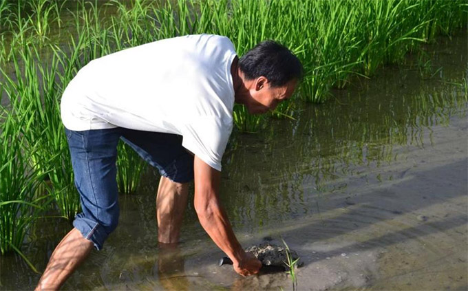 (jin)B(ti)r(nng)I(y)r(nng)ִW(xu)G}d(sh)`(du)̽Lr(nng)˰