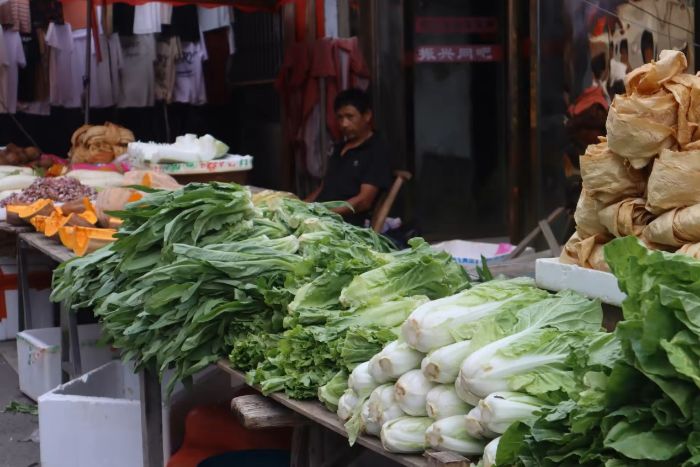 ̶W(xu)W(xu)w(yn)sһ(chng)y(tng)cF(xin)ڵʢ