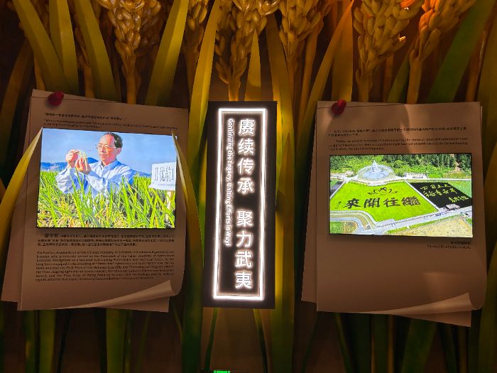 }l(wi)sˎ`l(xing):֪RxܣĻ